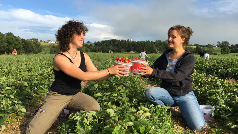 Filles avec fraises_1820x1080