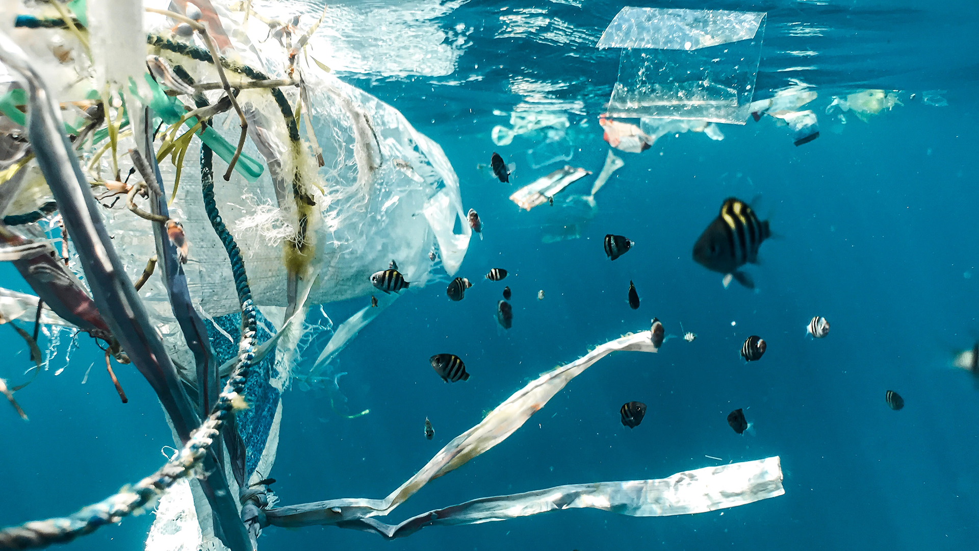 Image_Billet_Pollution_Oceans_2