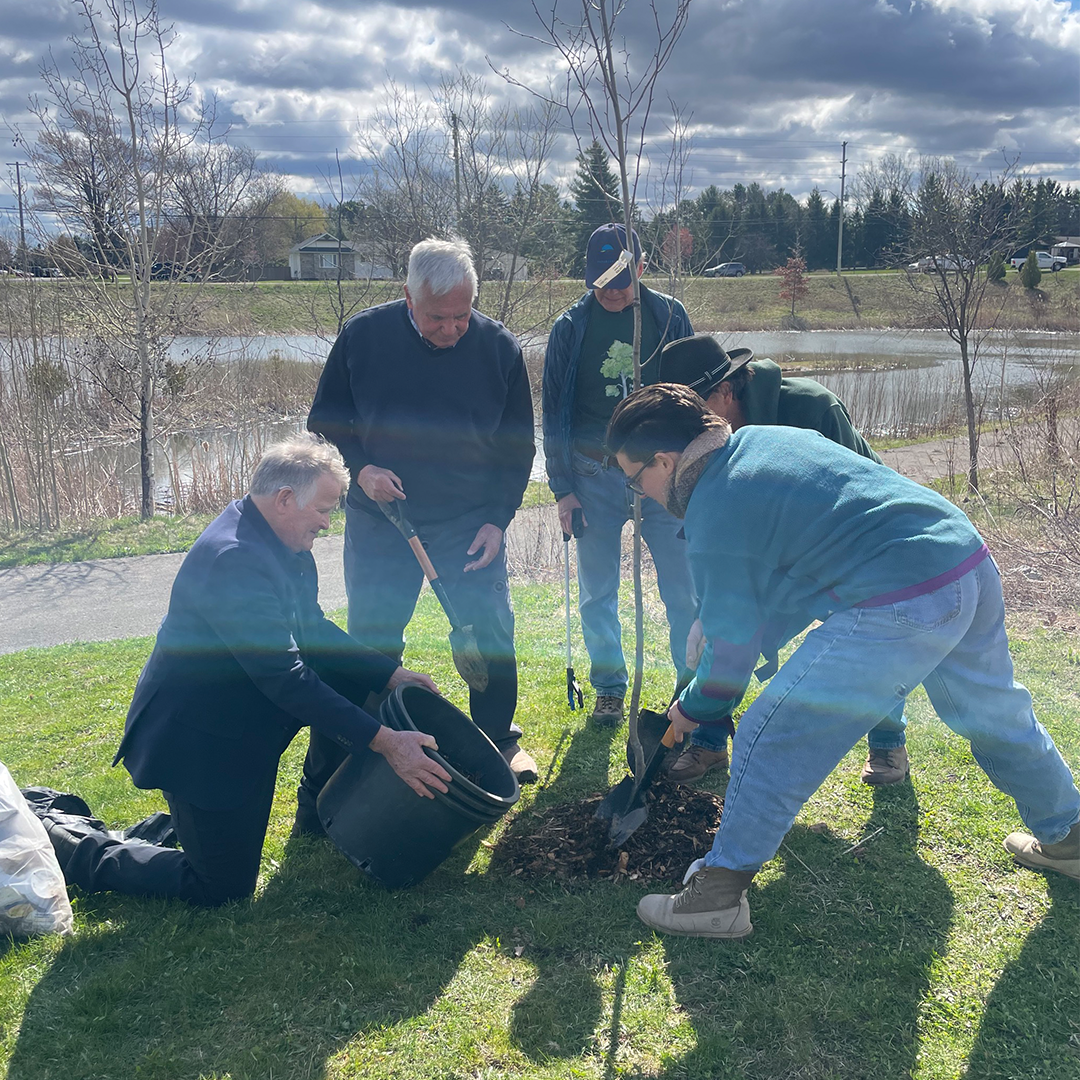 Ceremonial tree planting in Pelham
