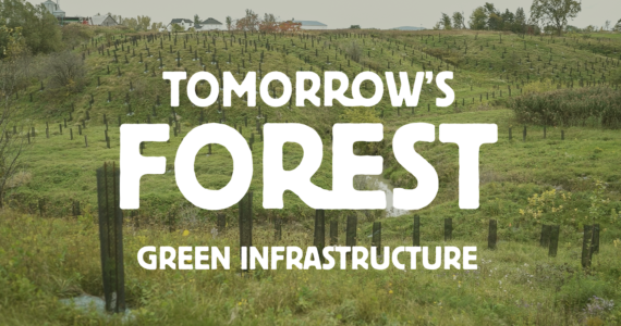 TomorrowsForest_miniature_UNE