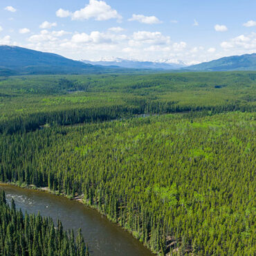 Journee-des-forets-2026_1