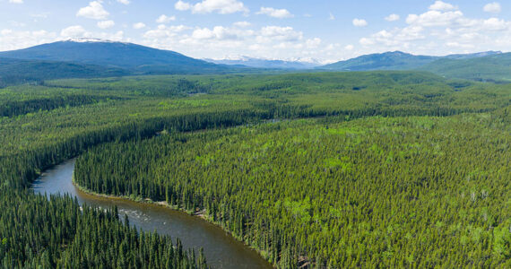 Journee-des-forets-2026_1